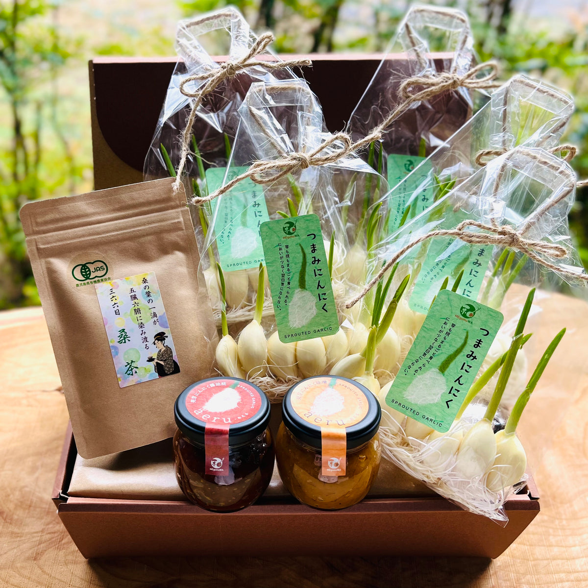 【MTG】芽ぐみ ４枚セット 芽ぐむ和ギフト(支) – 芽ぐむ和 オンラインショップ