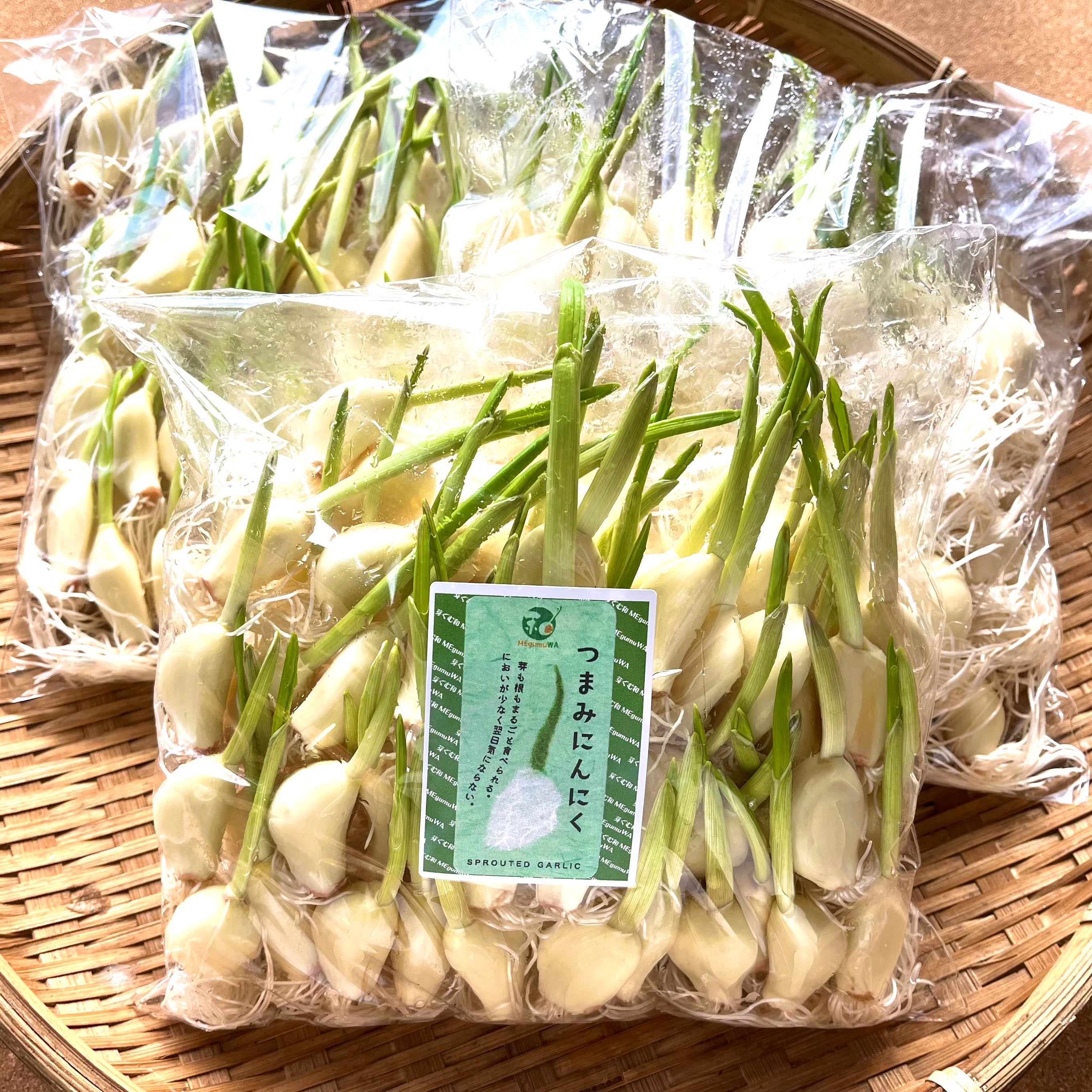 葉にんにく 500g 長野県信州 - 野菜